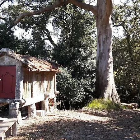 Casa Da Figueira Moura - Quintinha D'arga Caminha