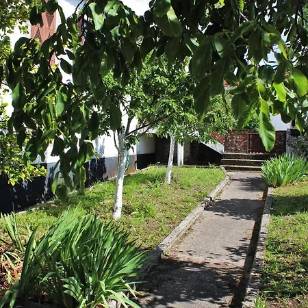 Tatil Evi Casa Da Figueira Moura - Quintinha D'arga Caminha